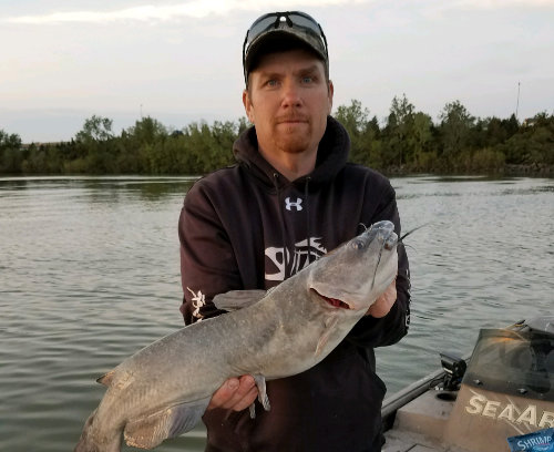 Large Catfish caught on South of Heaven Charter